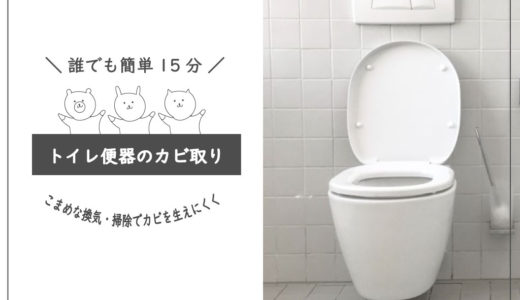 【誰でも簡単15分！】トイレの便器についたカビの落とし方・予防方法